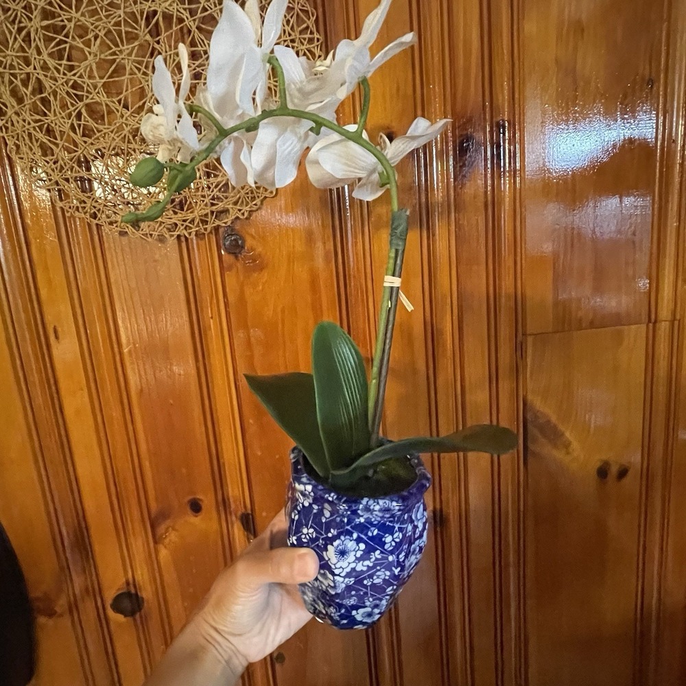 Faux White Phalaenopsis Orchid Silk Plant Blue ,Real Touch - Picture 7 of 8
